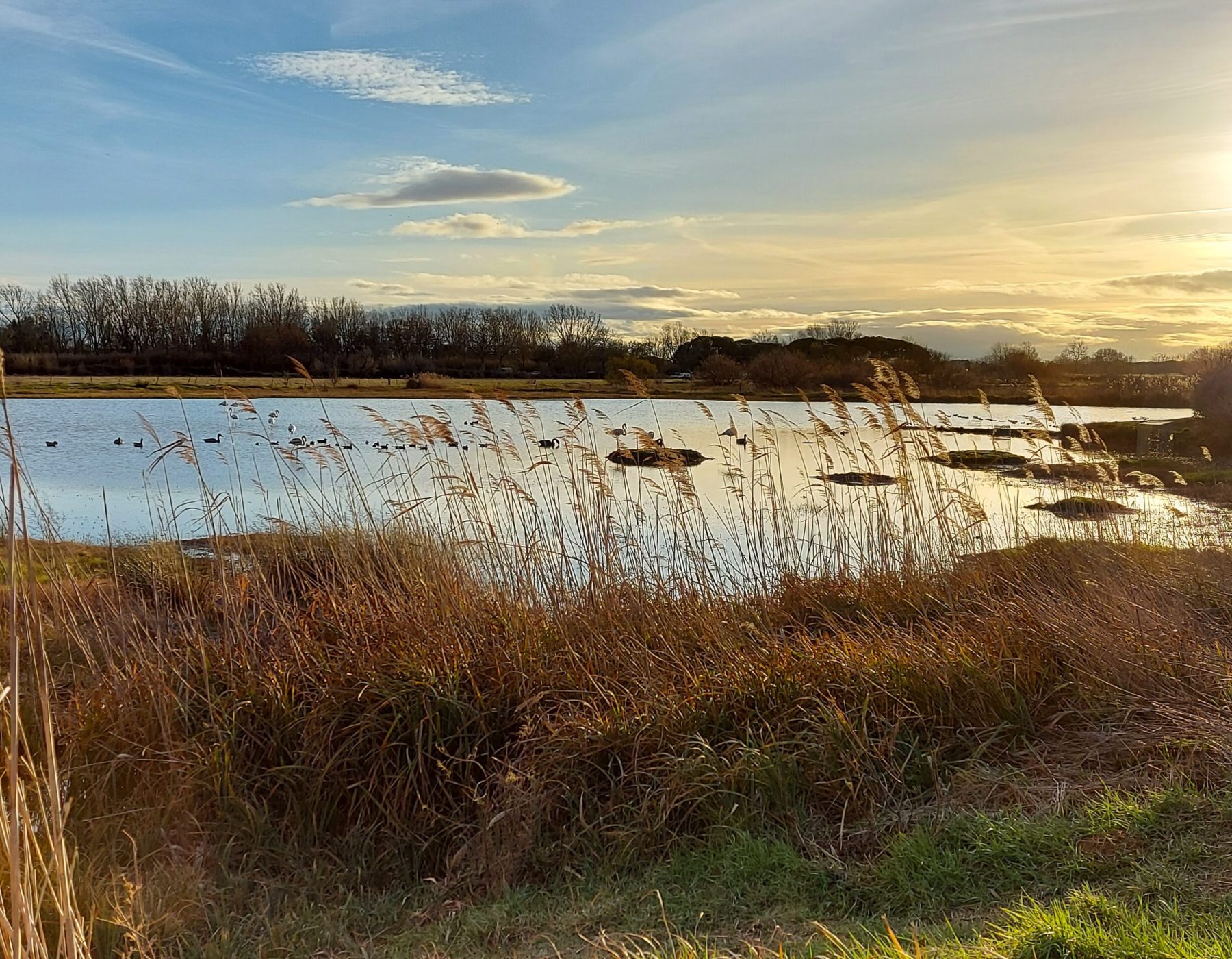 20210127_170337 copie